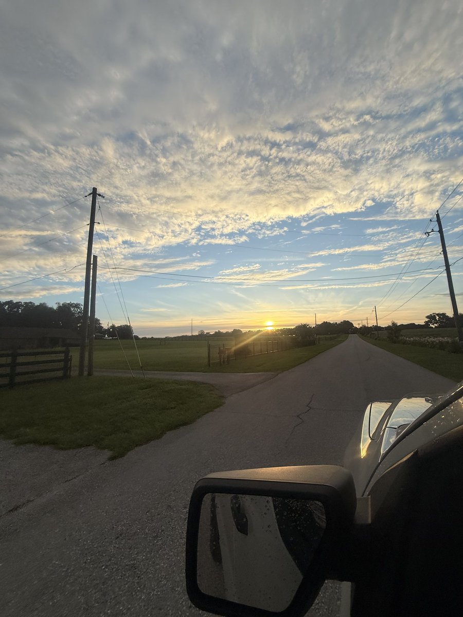 JesusBelik0's tweet photo. Smokin on my way to work while i watch the sunrise 👌🔥 I hope everyone Gets them a bag today https://t.co/nFBL8qqBXj
