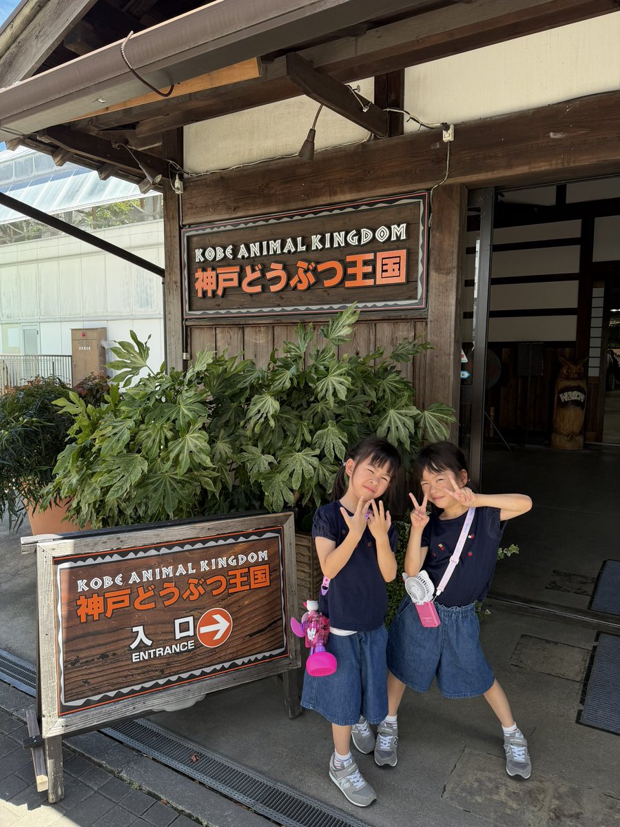 iloovepanda's tweet photo. お子ちゃまサービスDAY🐰🐻
笑顔になってくれるのが1番
長い夏休みまだまだ終わらない…🥹 https://t.co/dLVcjCpCR0
