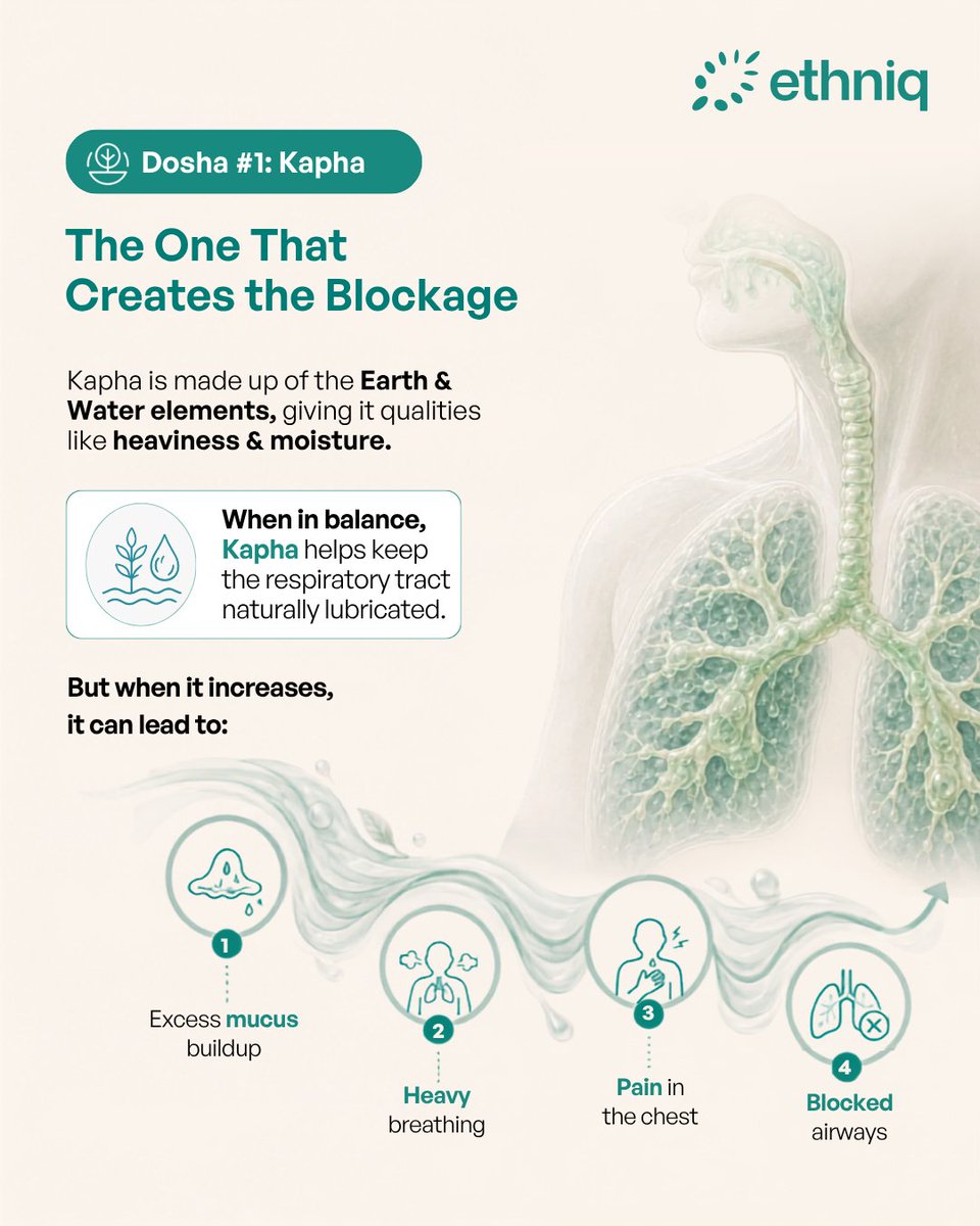 ethniqmed's tweet photo. Chest congestion isn't always just about the weather.

According to Ayurveda, it may begin with an imbalance of Kapha &amp; Vata. 

Swipe on the post to know more. 

#Ethniq https://t.co/4t08Hd8Wlq