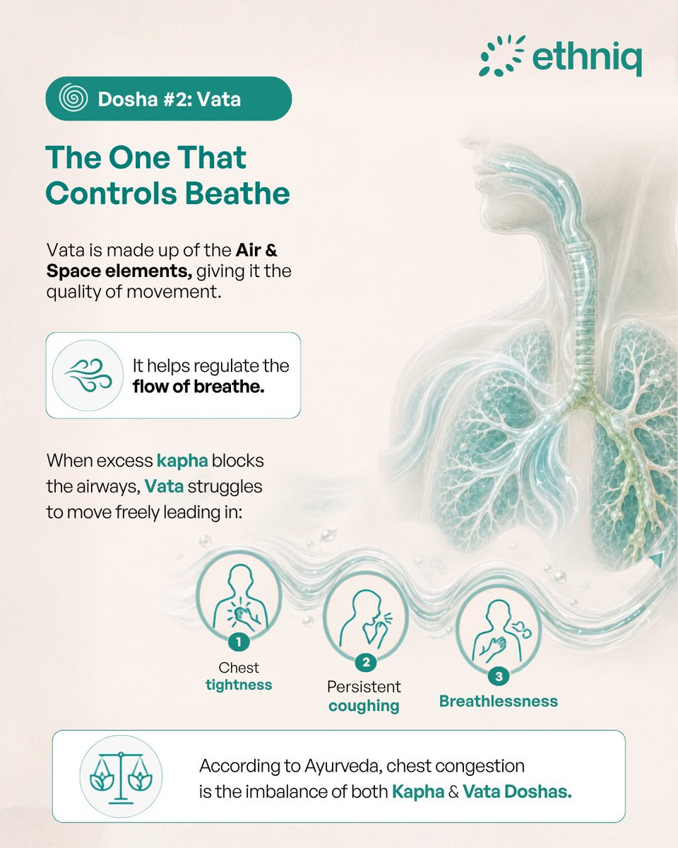 ethniqmed's tweet photo. Chest congestion isn't always just about the weather.

According to Ayurveda, it may begin with an imbalance of Kapha &amp; Vata. 

Swipe on the post to know more. 

#Ethniq https://t.co/4t08Hd8Wlq