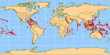 BerneroPao's tweet photo. @ClintelOrg @peter_ridd Easy, they just have to migrate to colder or warmer waters if neaded. That's why they survived ice ages and warmer periods. https://t.co/25NY62JZRL