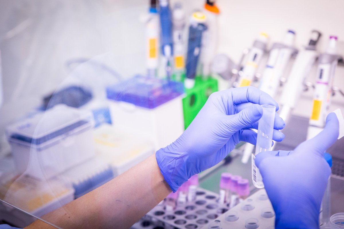 HospitalLaFe's tweet photo. ℹ️El Consell autoriza la participación de La Fe en la red estatal para desarrollar medicamentos de terapias avanzadas.
🧪La red constituye una infraestructura que fortalece las capacidades de investigación, desarrollo y fabricación de terapias avanzadas.
📎https://t.co/gawTsLW1as https://t.co/ysOnzhykWR