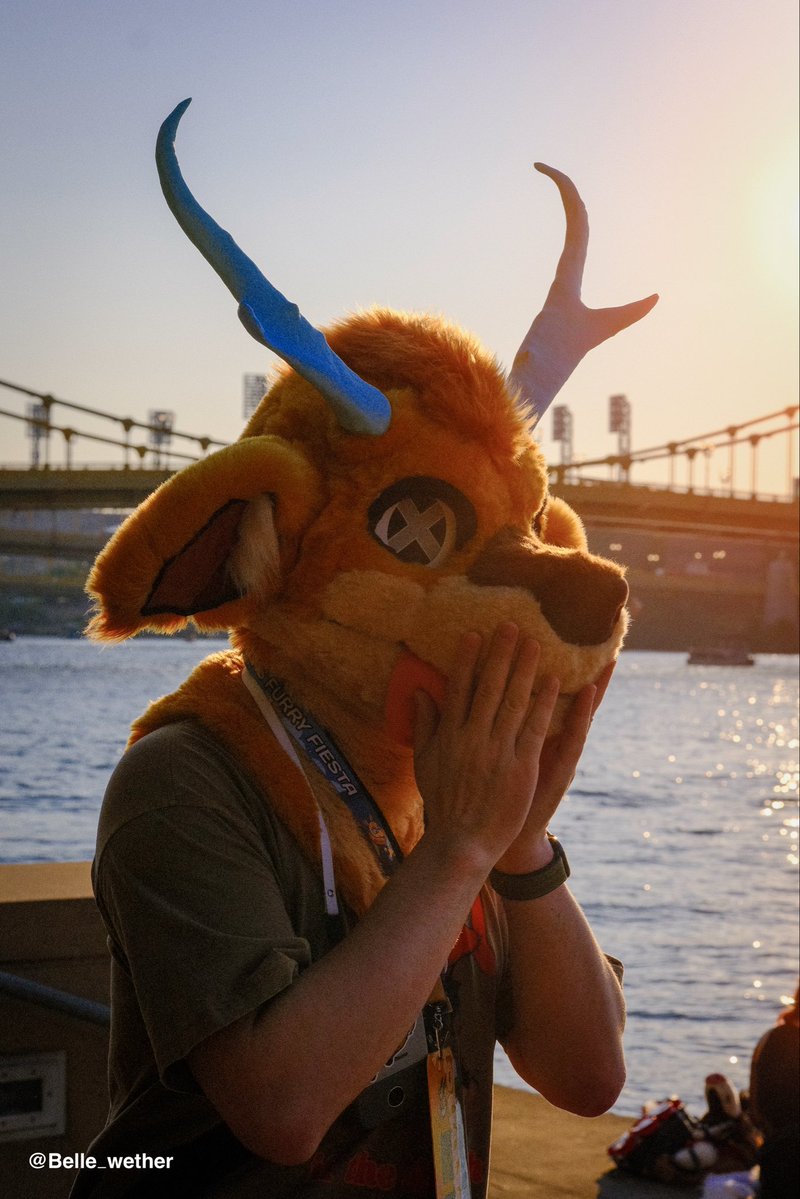 prongl_'s tweet photo. Who will I see at MP? It will probably be my last con of the year https://t.co/7wATuuAJPz