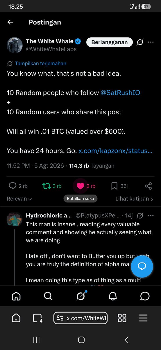 0xcherys's tweet photo. @WhiteWhaleLabs @satrush done and shared!🔥 https://t.co/jgRM4AyKUl