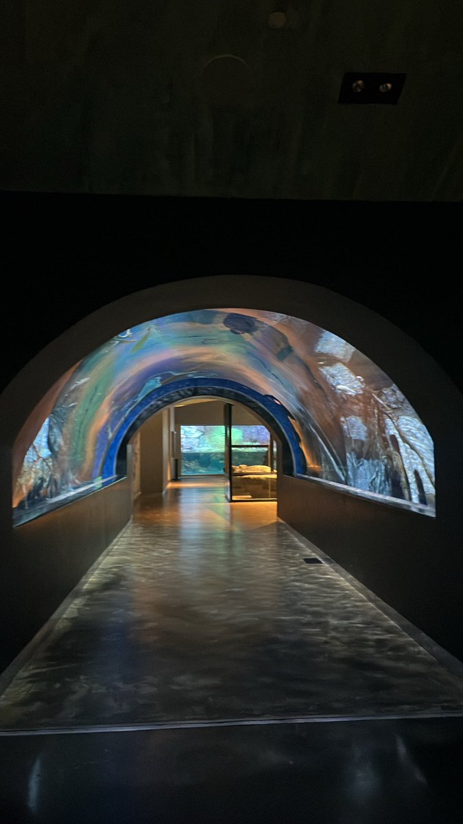 7jehadi's tweet photo. Field trip to @omanaquarium 🐬🌊🪸 https://t.co/y1PMOFwono