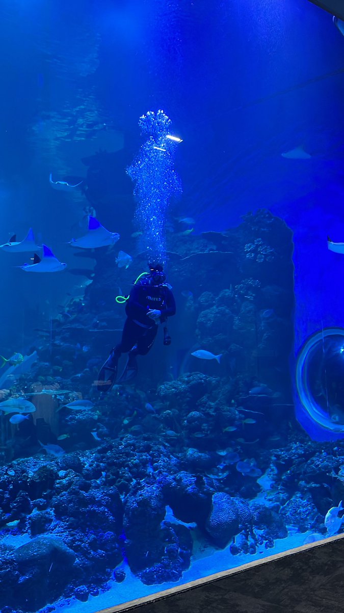 7jehadi's tweet photo. Field trip to @omanaquarium 🐬🌊🪸 https://t.co/y1PMOFwono