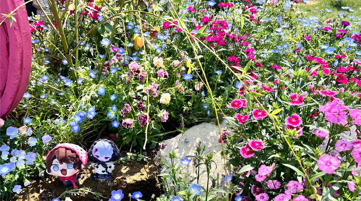 vvvvvv_do's tweet photo. タグ🏷お迎え用.*✿
ゆっくりですがご挨拶向かいます(՞. .՞) https://t.co/9j3ccjGDB0
