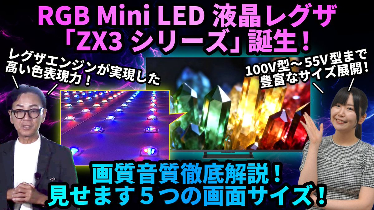 非売品！／REGZA・東芝 レグザ／販促用ネオン／ディスプレイ・照明