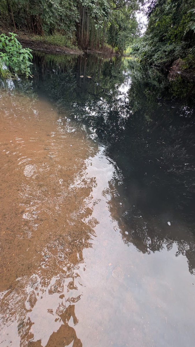 saveguruganga's tweet photo. The saddest part isn’t that the river is dying.

The saddest part is that we have started treating it as normal.

Every day we look away, the damage grows. Every day we remain silent, the poison spreads. #SaveGuruganga https://t.co/3zftcN6m1l