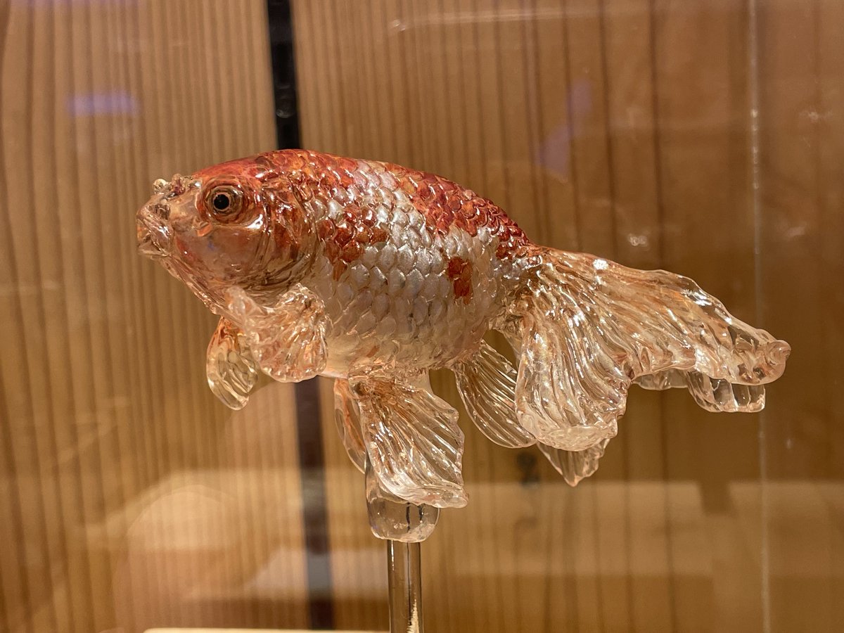 natchdonfox's tweet photo. 飴の金魚🍭🐟🇯🇵 https://t.co/lCt7xytCzr