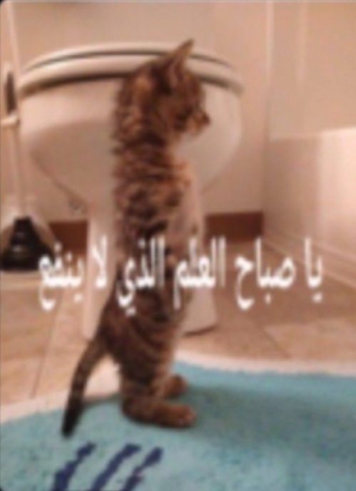 Arleccsand's tweet photo. عمه من المدينة لكلب مهان خاضع 🦮

الصورة على امل اني اطلع فوق https://t.co/oWEAuP6gVM