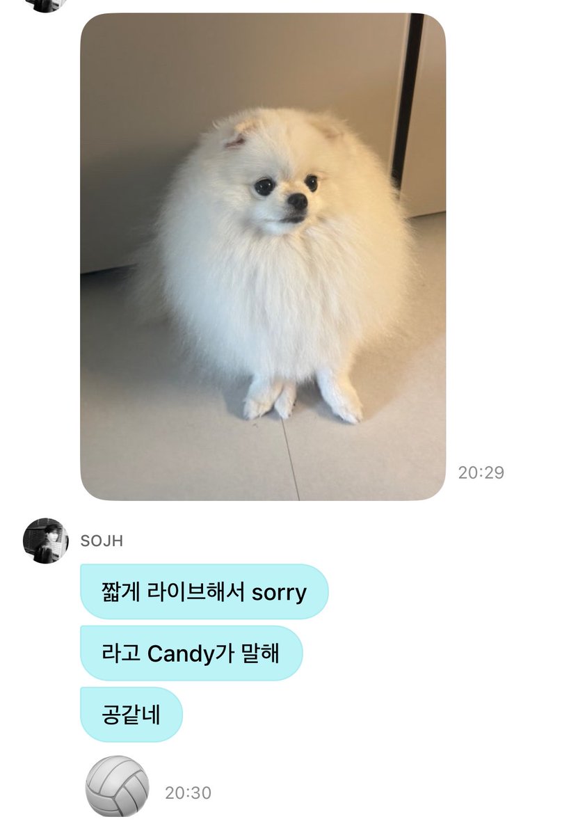 modu____'s tweet photo. 와 캔디 졸귀 미친 ㅜㅜ !!!!!!!!!!!!!!!!!!!!!!!!!!!!!!!!!!!!!!!!!!!!!!!!!! https://t.co/Hj3rACTJC4