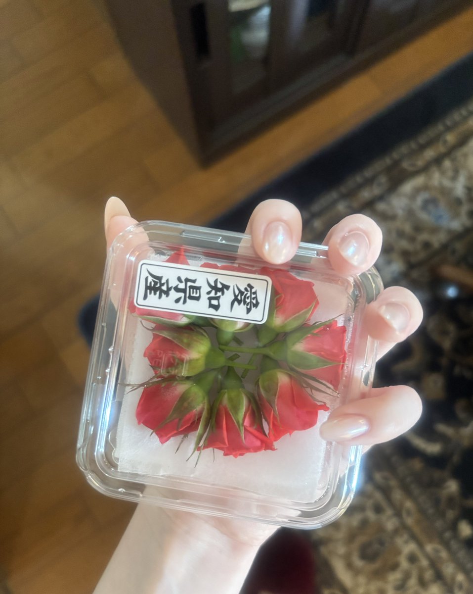 MarieC0rdial's tweet photo. ^^🥀🥀🥀 https://t.co/cPx6OYHN21