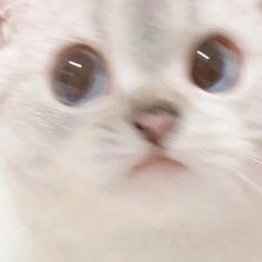 chikipie0's tweet photo. Haechan the cutest https://t.co/b2TU1XlH1u