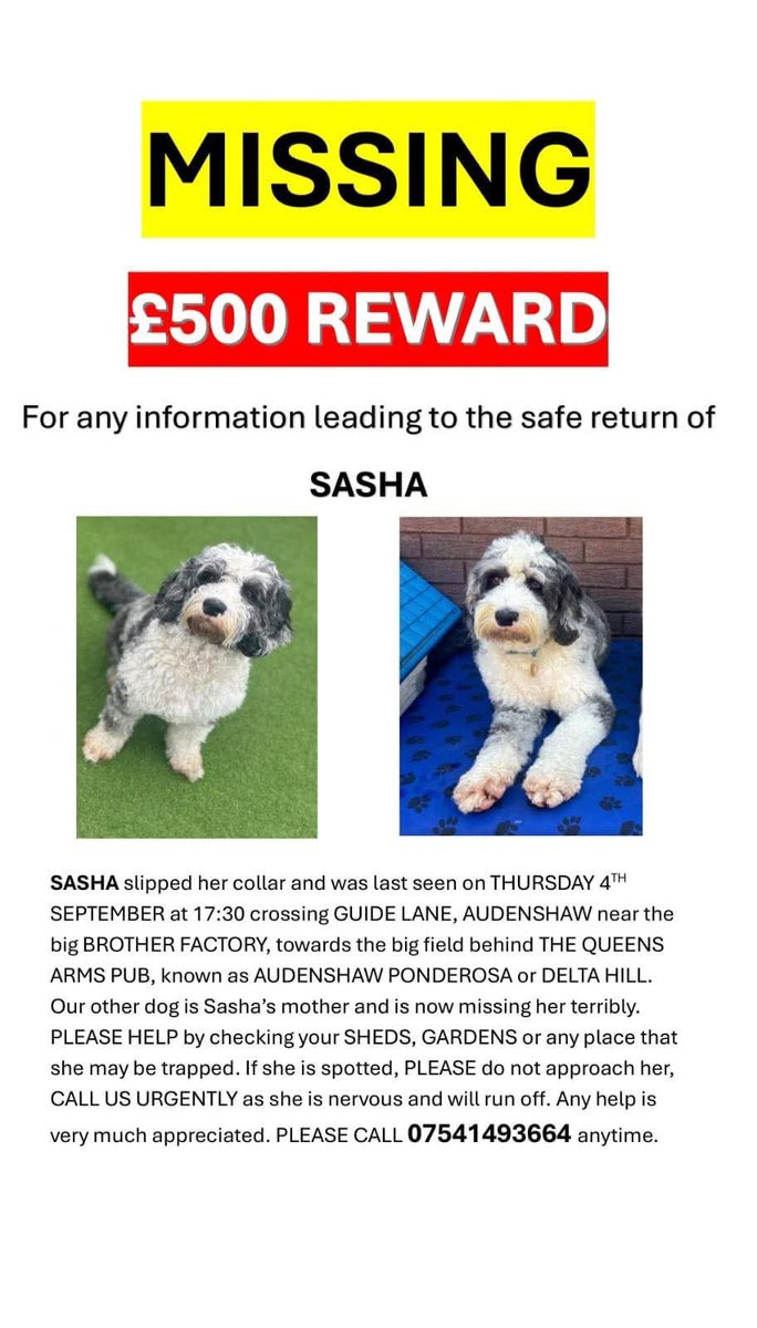 MissingPetsGB tweet picture