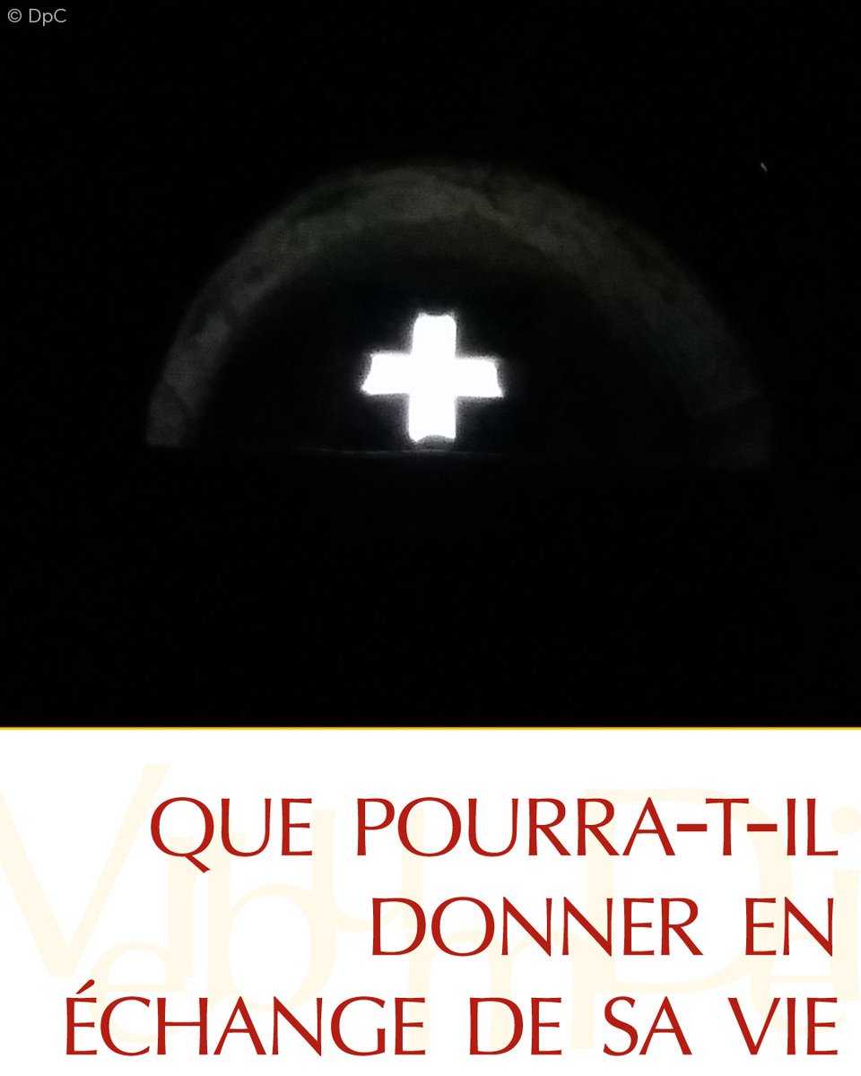 vaticannews_fr's tweet photo. 📜 Évangile du jour | Vendredi 7 août
(Mt 16, 24-28)

«Quel avantage, en effet, un homme aura-t-il à gagner le monde entier, si c’est au prix de sa vie ? Et que pourra-t-il donner en échange de sa vie ?»  → https://t.co/b3qJQZvfeK https://t.co/00sjimZTn7