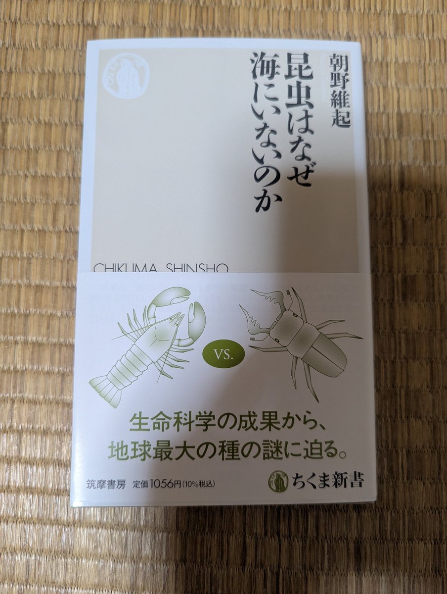 BPrOpS2Oe393007's tweet photo. @galileo_fun そんな皆さんに読んで欲しい新書。

「昆虫はなぜ海にいないのか」
ちくま新書です。 https://t.co/zB9VRItrpJ