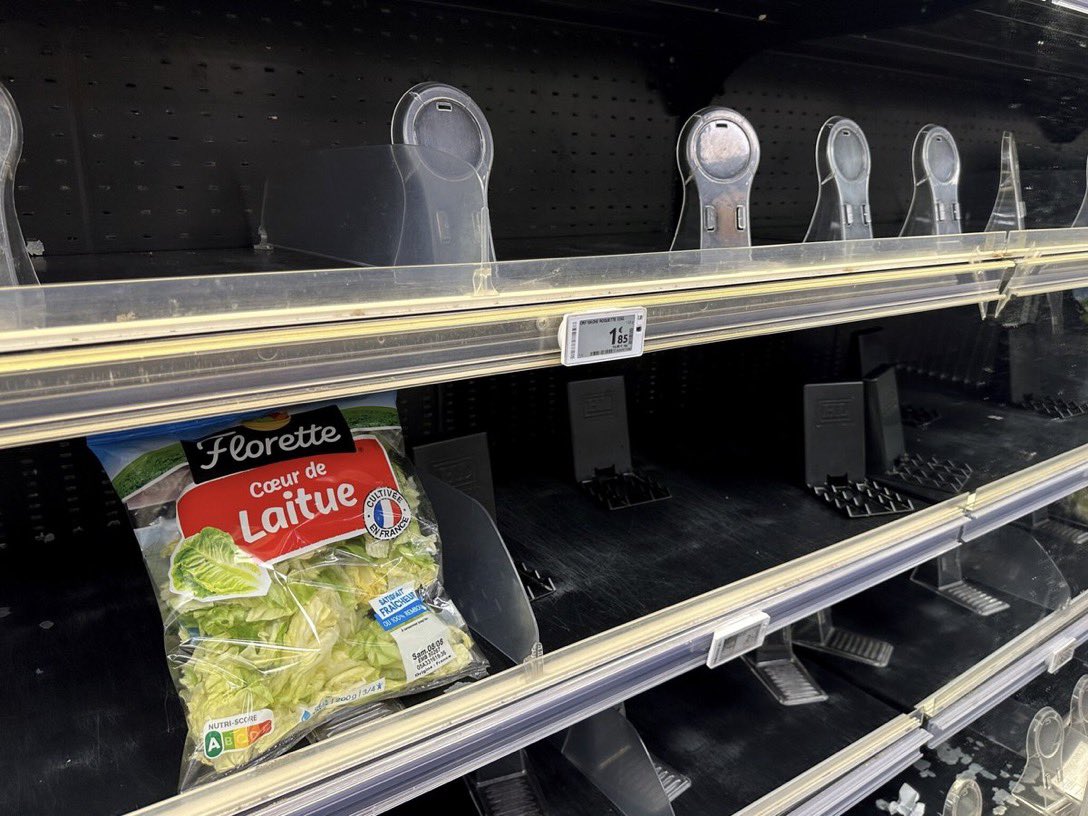 FranCoeur2014's tweet photo. Pas d’irrigation ? Pas de salades cette année sans irrigation….Perte de 100% !
Donc vive les bassines , vive le stockage de l’eau en hiver même si ça déplaît à nos idéologues verts de salon…. https://t.co/sPwAvKg4Oi