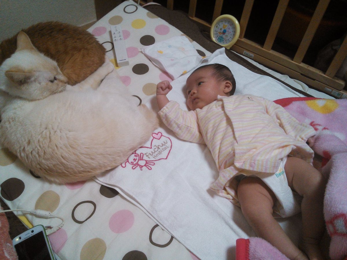 qrag_666's tweet photo. 家族中のメンタルが揺れている。おねいちゃんも弟も物心ついたときから見守ってくれていた存在だもんね。 https://t.co/lh53iRnRPo
