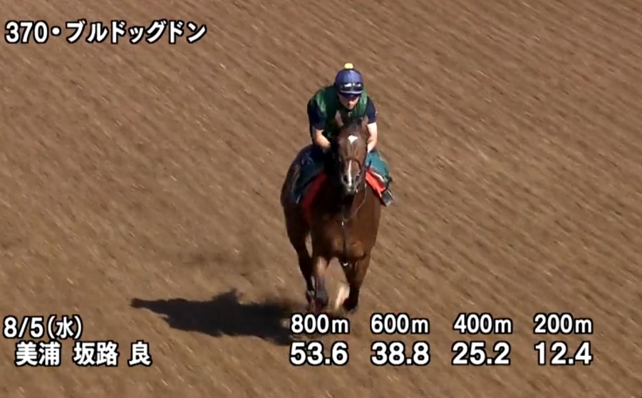 kaizokuouzyo's tweet photo. 今週の新馬戦獣の調教馬🏴‍☠️✨

左：新潟(土)2Rブルドッグドン
右：中京(日)3Rショウナンバトレニ

獣の調教馬🐺通算成績(4 3 0 3) https://t.co/PO2M2AVYEy