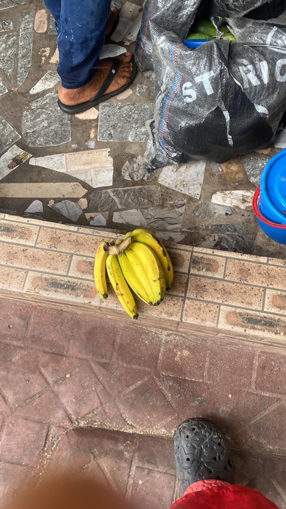 DiKzn001's tweet photo. See wetin ₦1,000 buy me. Banana don become luxury. 😂🙂‍↕️ https://t.co/8l4k5KY3Zt