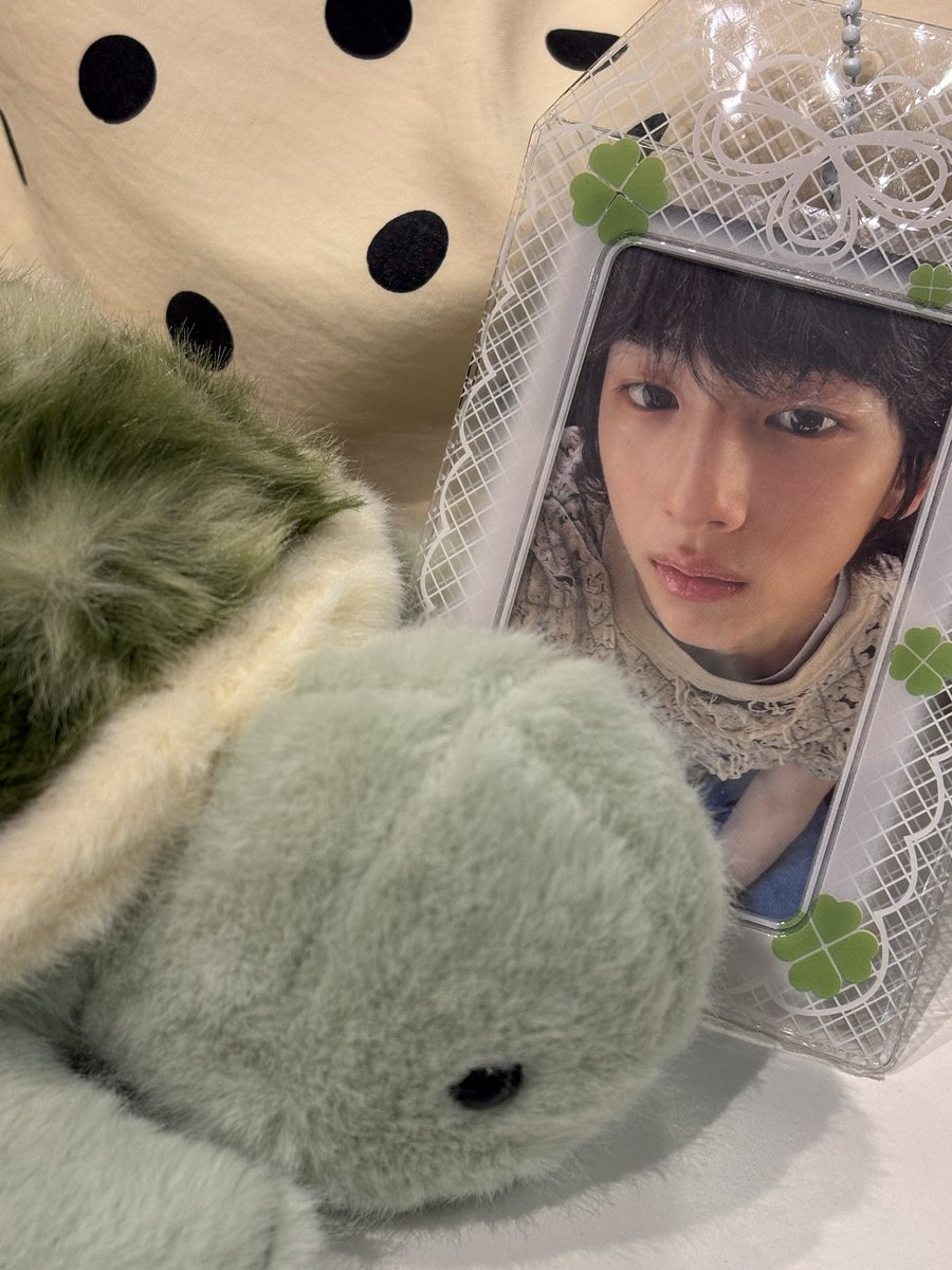 chocojju08's tweet photo. turtle jju 🐢 https://t.co/35b10gwTnL