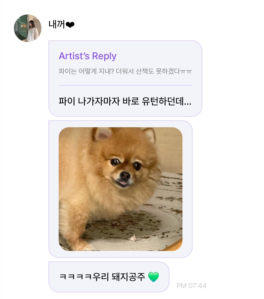 2Moori's tweet photo. 🍀: How is Pie doing? It's so hot we can't even go for a walkㅠㅠ
🐶: Pie did a U-turn the moment she went outside...
🐶: ㅋㅋㅋㅋOur piggy princess 💚 https://t.co/OON73dtRIO