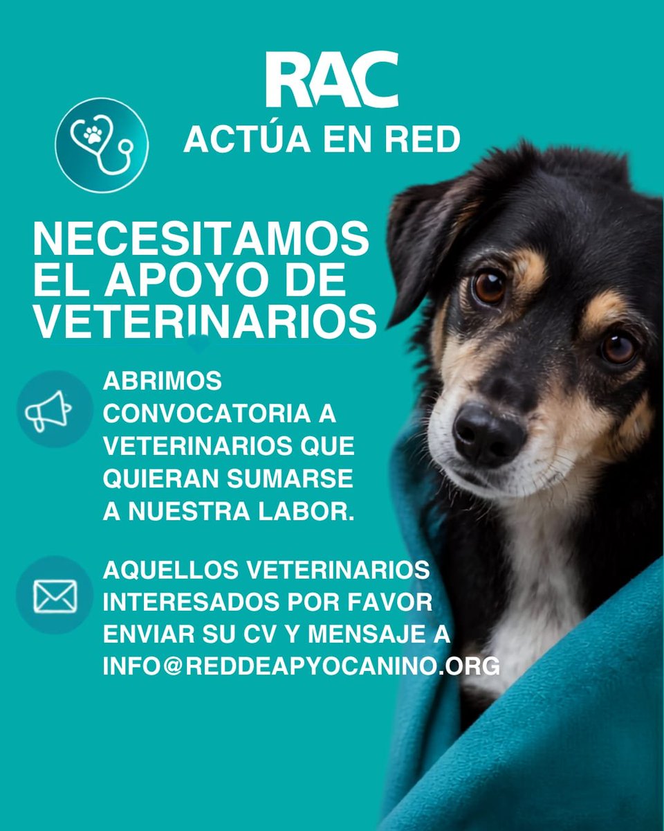 apoyocanino's tweet photo. Eres veterinari@?
Quieres trabajar ayudando a los animales comunitarios o de familiares vulnerables?

Escríbenos a info@reddeapoyocanino.org

Te estamos buscando!! https://t.co/tj2SzQbsxr