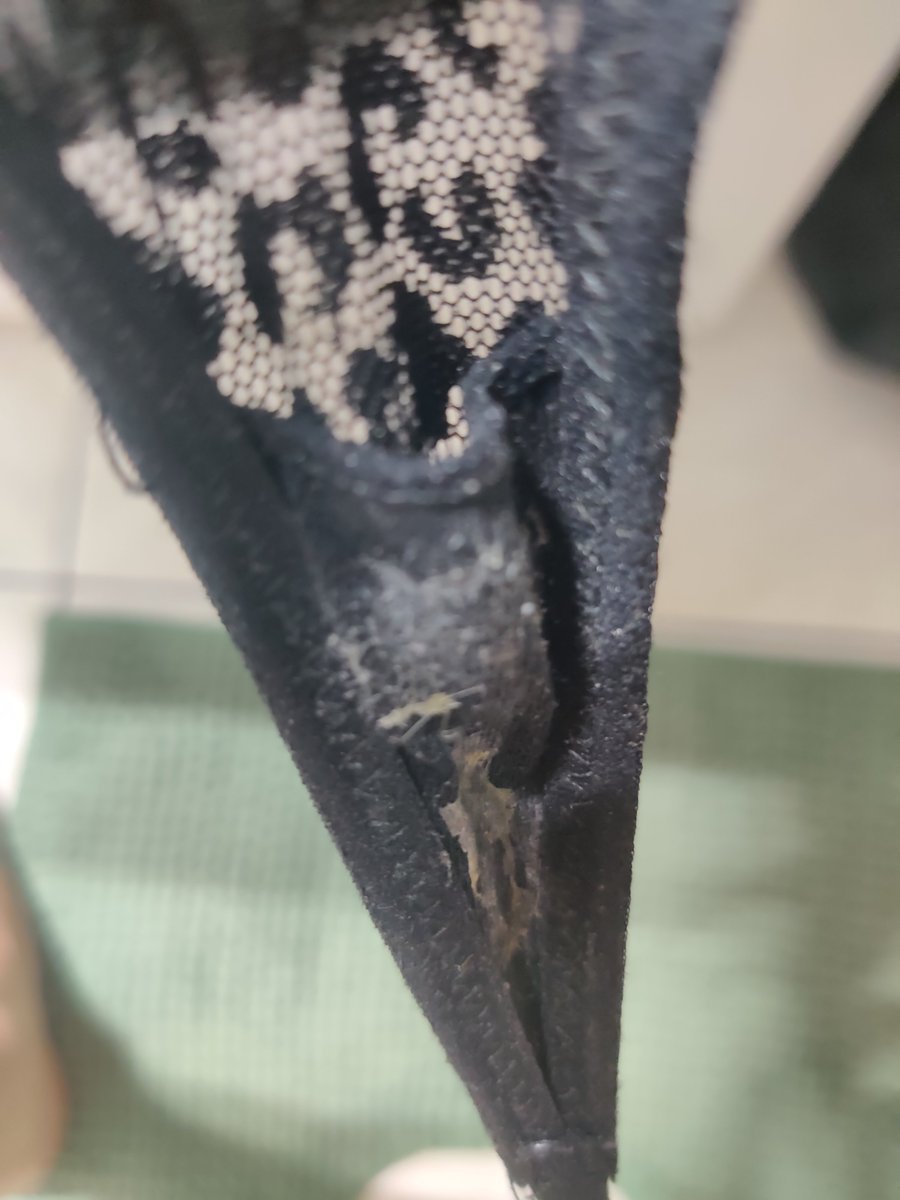 OGFartQueen's tweet photo. Who wants to buys stinky dirty pantys. 😈 I need slaves to clean it.  

More spicy Content inside my Bio. 😌

#fart #usedpanty #dirtypanty #gassygirl https://t.co/we5n56Re3T