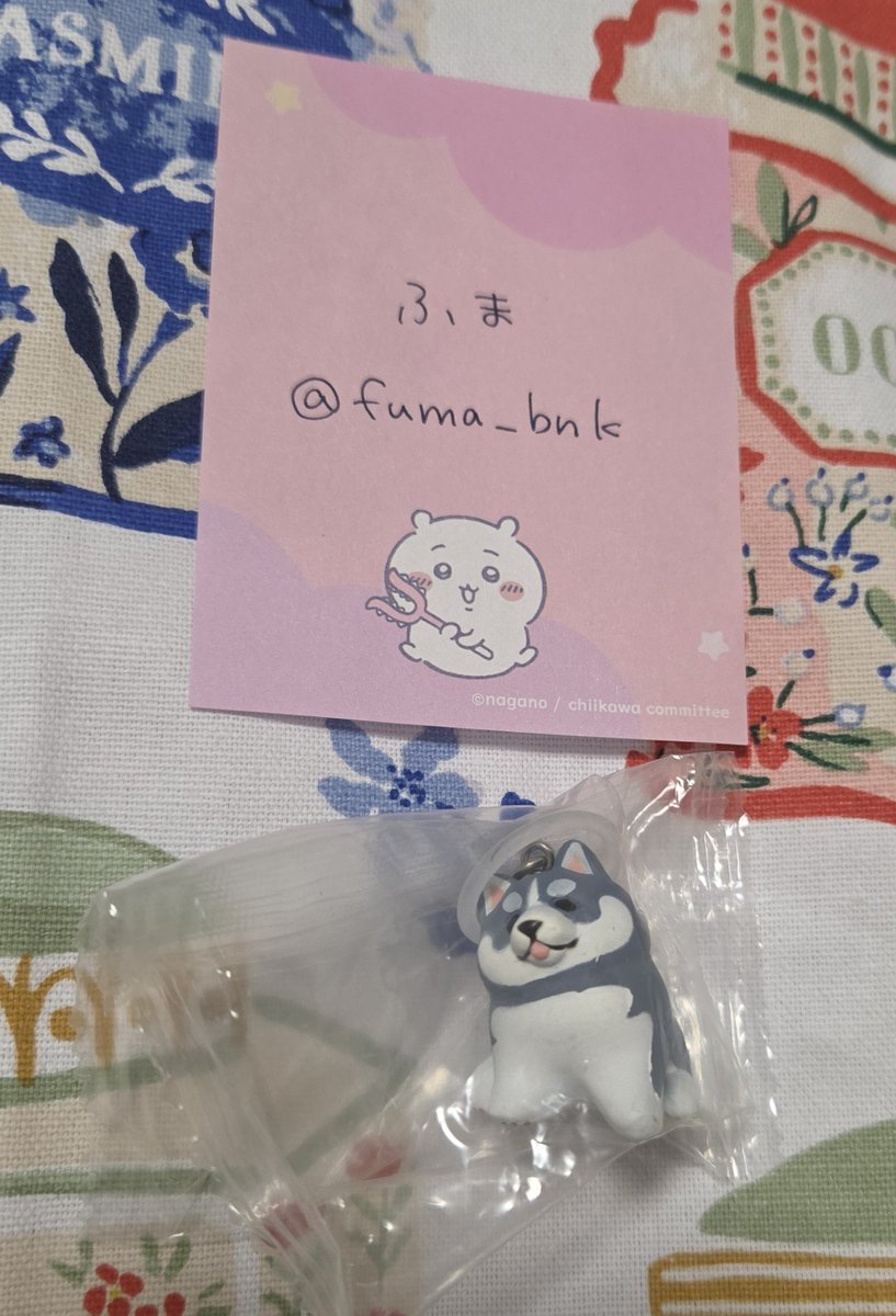 fuma_bnk's tweet photo. @nan6amaru 検索からお声掛け頂きましてありがとうございます。
ハスキーとボーダーコリーの交換、是非ともよろしくお願いいたします。
郵送交換とのこと、承知いたしました。
お取引の為、フォローさせて頂きます。
よろしくお願いいたします。 https://t.co/FHrN6nlmIx