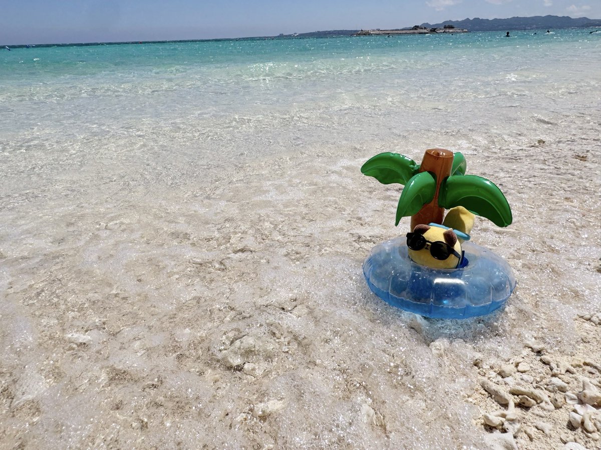 yuru_r___'s tweet photo. 波に揺られるばにゃ奈🏝️
 
#東京ばにゃ奈
#ぬい撮り
#ばにゃ奈と沖縄 https://t.co/nLvxRb608A