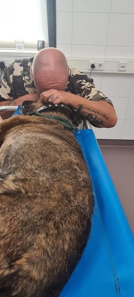 bart_gaal's tweet photo. Jaren heeft ze mij door mn Ptss heen getrokken!
Mijn Rots en mn Besty 
Wens je een behouden reis naar de eeuwige jachtvelden https://t.co/CpjvzBFYM5