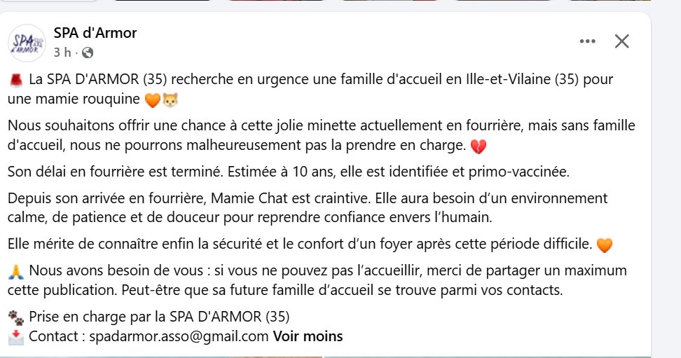 justineducern's tweet photo. Cette SPA d'ARMOR est à Montauban de Brertagne 
elle lance cet SOS pour cette minette qui est en fourrière.
Son tél 06 61 39 42 65 https://t.co/NQk0HAT3er