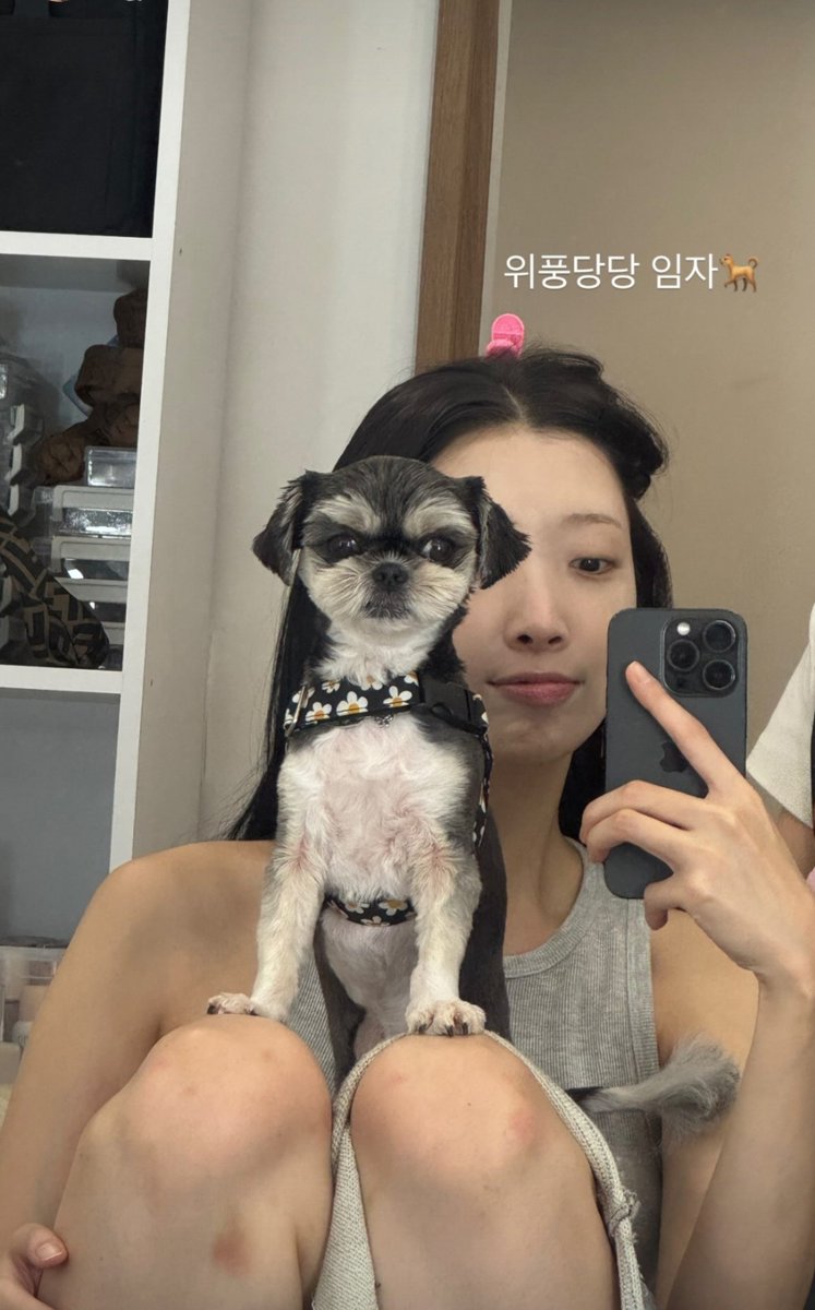 Ryudainzone's tweet photo. Ryu dain ig story 🍀

060826

#ryudain #류다인 https://t.co/d2sCr97brS