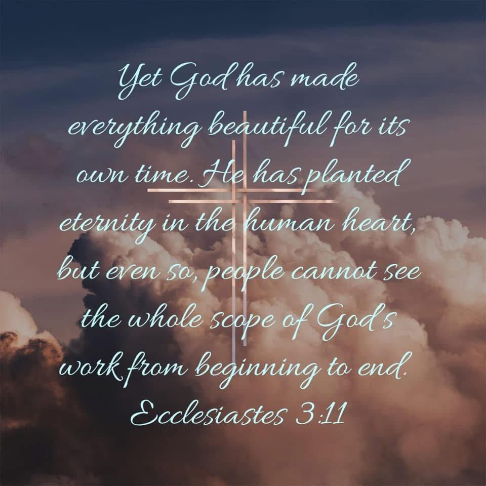 SteveMHII's tweet photo. #GM #YahBless https://t.co/ZaCOkoLiQX