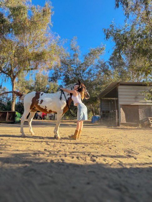 ImBrett2026's tweet photo. My babies 🦄  ��� https://t.co/2DCx4NrW8X