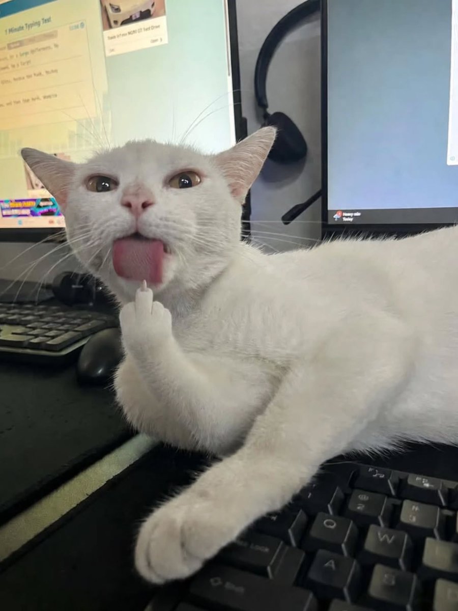 MemewireX's tweet photo. https://t.co/LUzoTrzx9z