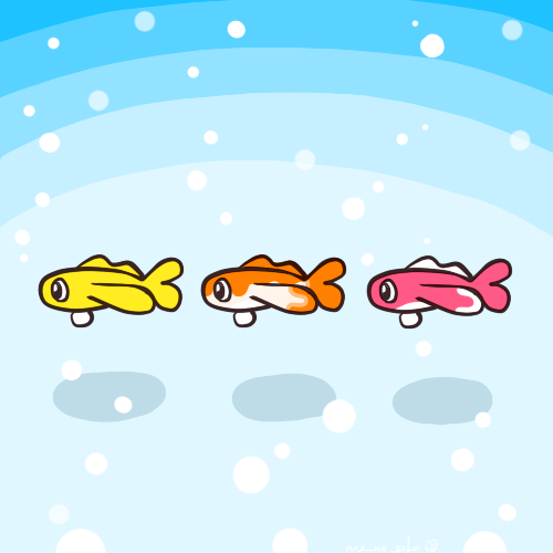 ana_no_soko's tweet photo. 🍣シャリタツ.。o○

ｽｲｽｲ！🐟 https://t.co/u2B7RoVxTb