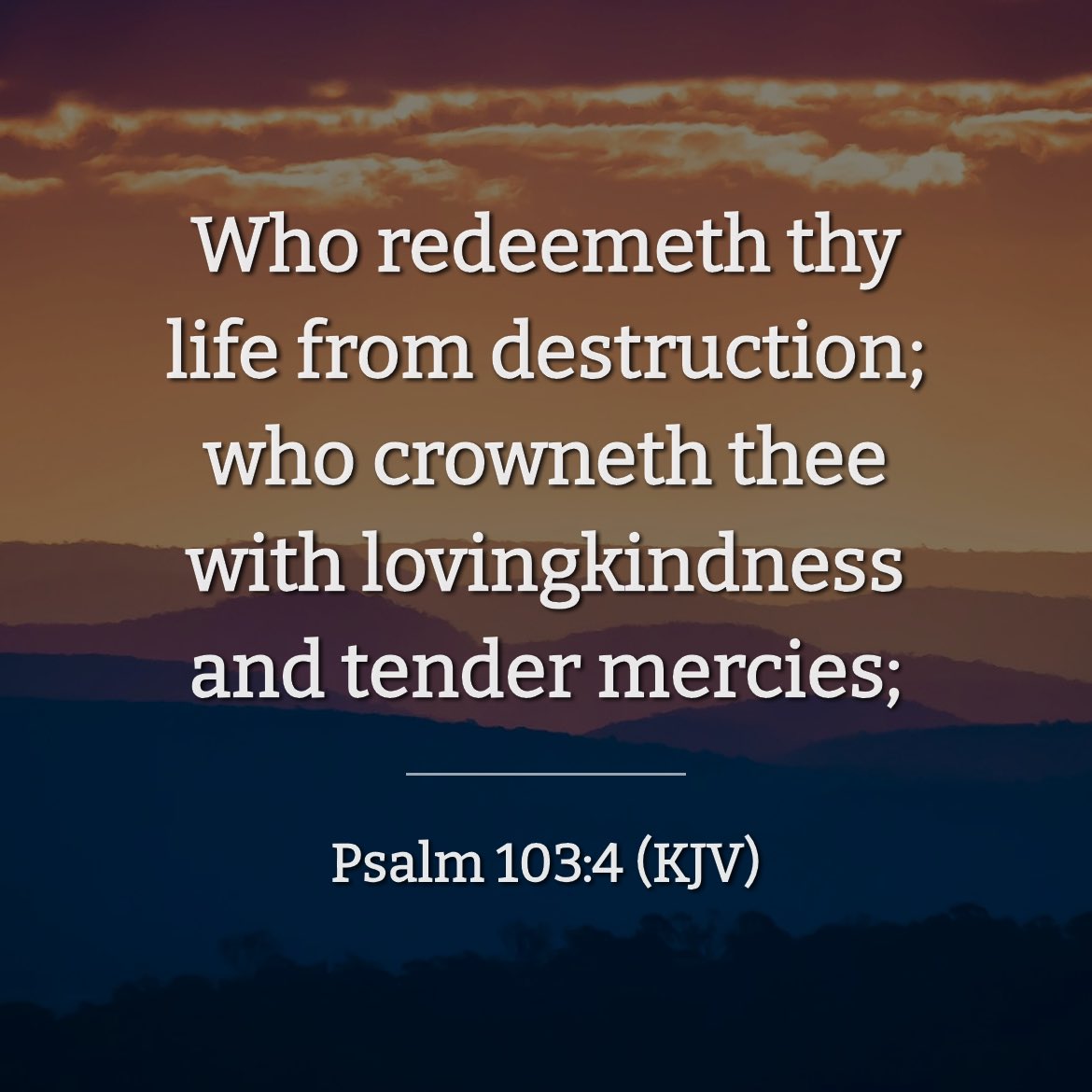 JellyBean13070's tweet photo. Today's Verse
Who redeemeth thy life from destruction; who crowneth thee with lovingkindness and tender mercies; ⏤ Psalm 103:4
https://t.co/I6MK7xBdW7
#taptapstudio
#youdevotion https://t.co/8rDE7Jr5Re