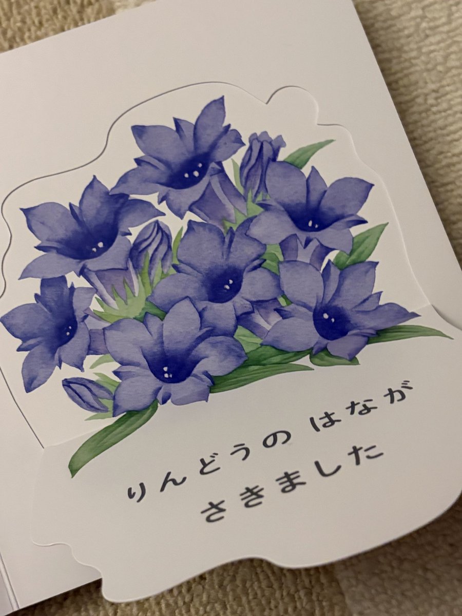 iwainanase's tweet photo. 今日この日に、こどもが突然
「りんどう」と言うようになって
なんども指さして教えてくれるので
リンさんの着物を思い浮かべました💭 https://t.co/BwfzlATFce