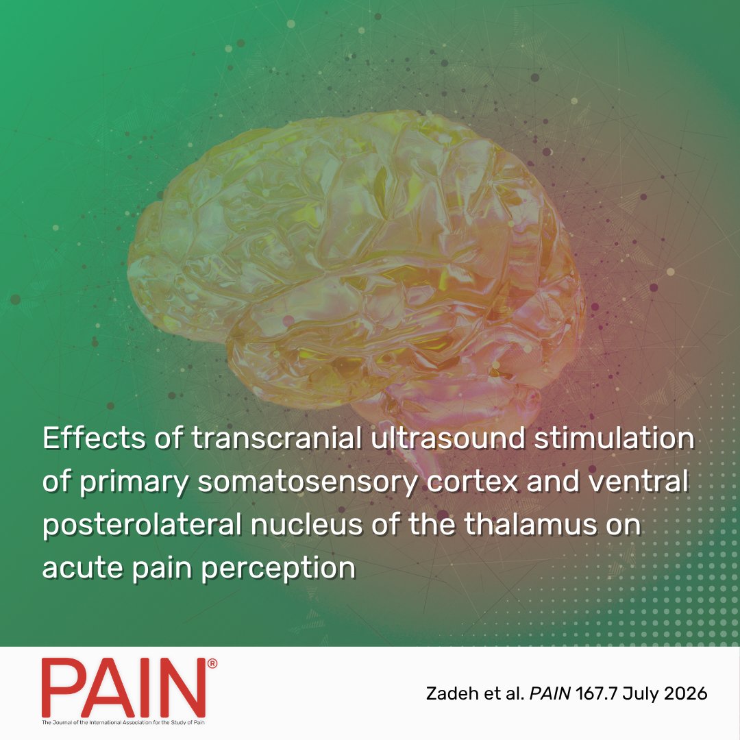 PAINthejournal's tweet photo. Zadeh et al. find that focused ultrasound stimulation of somatosensory cortex and thalamic VPL altered heat pain and warm detection thresholds, highlighting thalamocortical roles in sensory modulation and neuromodulatory potential. Learn more in #PAIN https://t.co/hgCgkAnEhs https://t.co/qb1xbafQfi