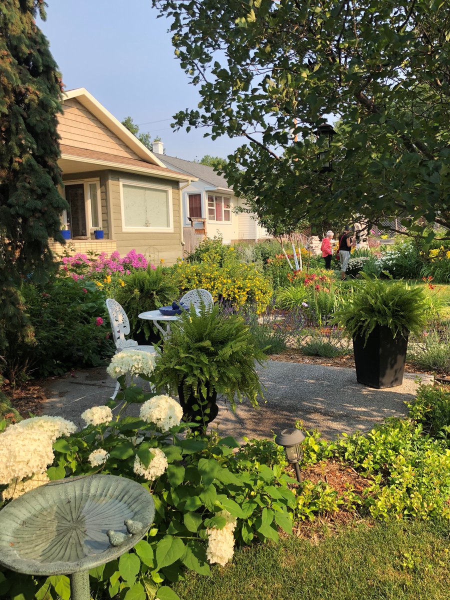 DiscoverItHere's tweet photo. More amazing front yards to share! Get a GOLD STAR for your front yard be registering on our website at https://t.co/u4Uuc2iKef  

Best Front Forward is a biodiversity and beautification campaign to thank residents who have amazing front yards full of life and sustainability! https://t.co/fgTBTxPrM7