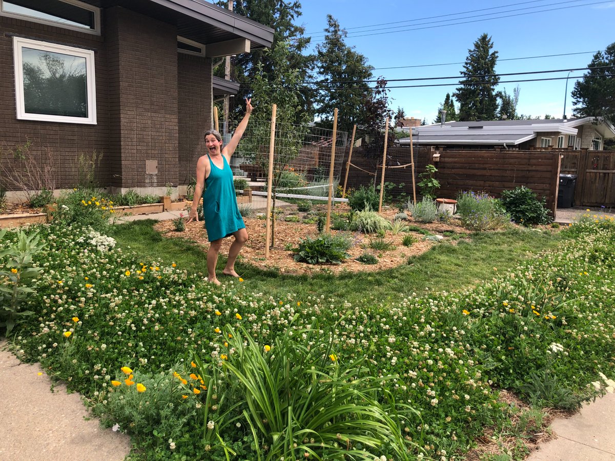 DiscoverItHere's tweet photo. More amazing front yards to share! Get a GOLD STAR for your front yard be registering on our website at https://t.co/u4Uuc2iKef  

Best Front Forward is a biodiversity and beautification campaign to thank residents who have amazing front yards full of life and sustainability! https://t.co/fgTBTxPrM7