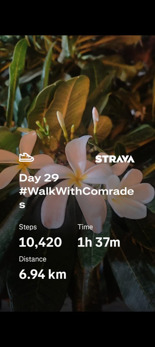 Manileft07's tweet photo. Day 28 29 &amp; 30 #WalkWithComrades https://t.co/JgUtJJnWdN