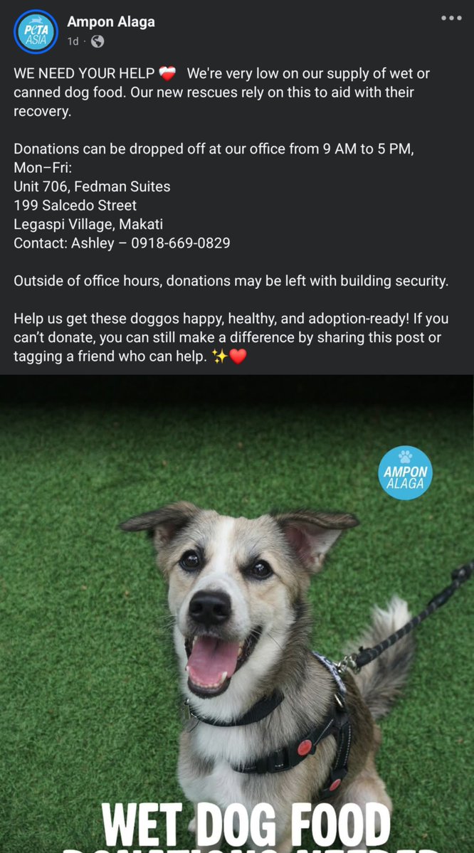 deityrozanov's tweet photo. [HELP 🔁 & 💟]

Taking this opportunity to share this post from Ampon Alaga (rescue and adoption project of PETA). 

They are currently in need of wet or canned dog food for their new rescues. You can directly drop it off at their office. They also have an e-wallet and bank where you can send monetary donation (check 4th pic). 

One wet/canned dog food can help a rescue survive another day.