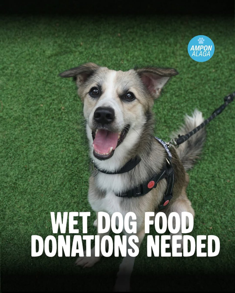 deityrozanov's tweet photo. [HELP 🔁 & 💟]

Taking this opportunity to share this post from Ampon Alaga (rescue and adoption project of PETA). 

They are currently in need of wet or canned dog food for their new rescues. You can directly drop it off at their office. They also have an e-wallet and bank where you can send monetary donation (check 4th pic). 

One wet/canned dog food can help a rescue survive another day.