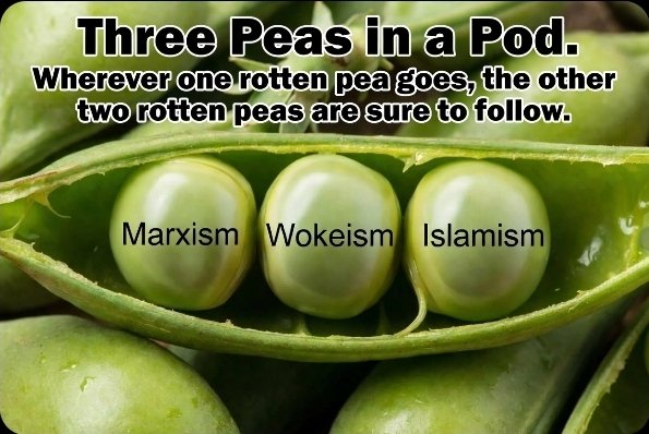 citizenruf's tweet photo. @GadSaad https://t.co/MwRCvfVxcy