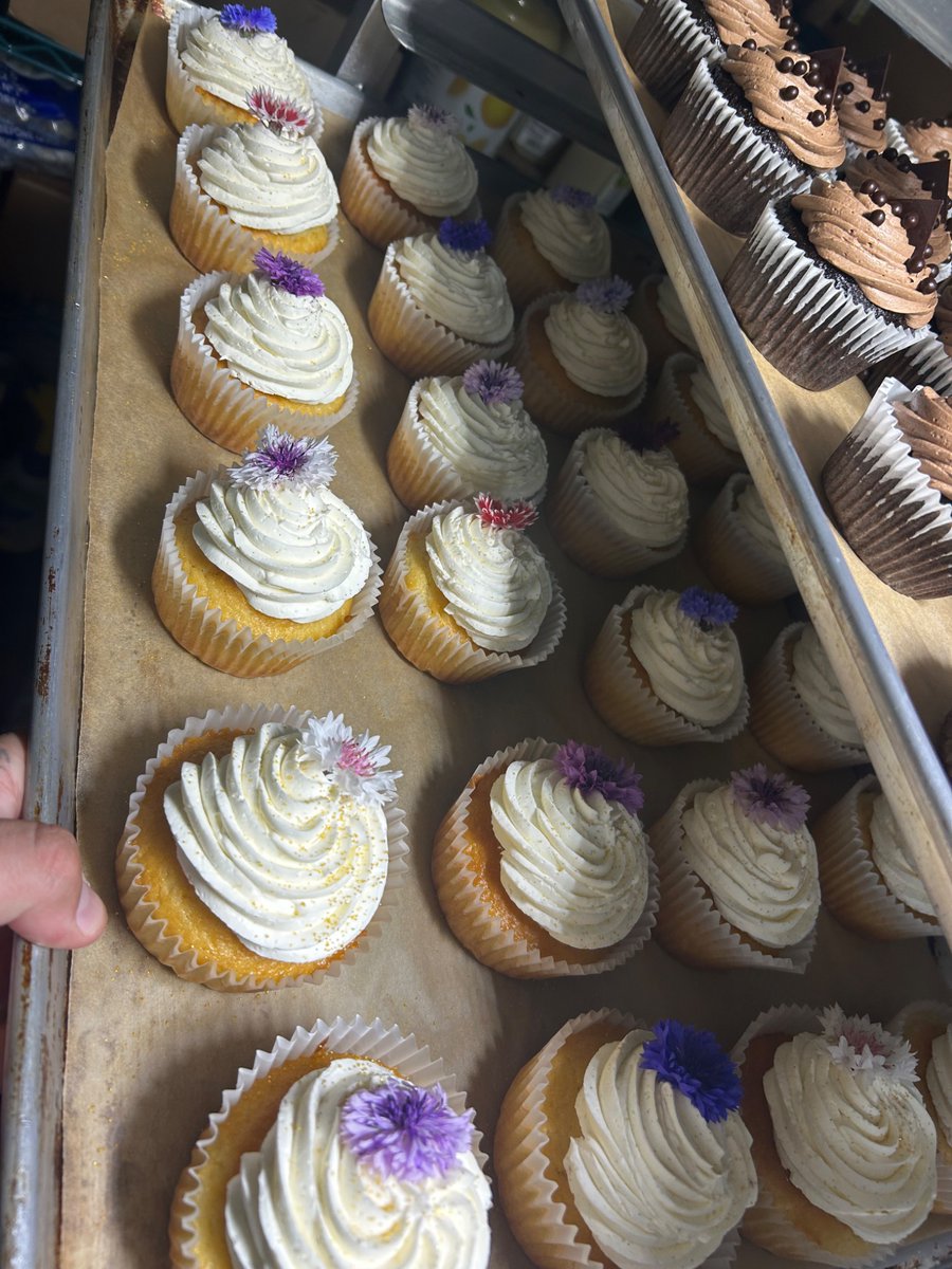 DecolonialMarx's tweet photo. Look at these cupcakes and help us reach half our goal at least https://t.co/iPo9w46hlS