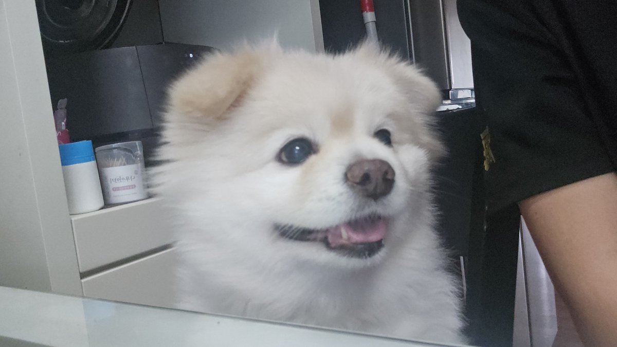 SSALBAB_RICEMI's tweet photo. 밥상머리 참견 https://t.co/1qz6NXyNjb