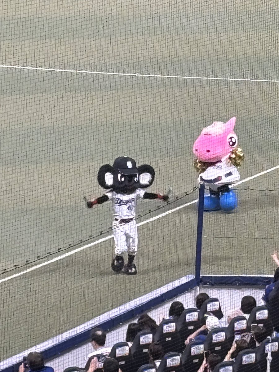 nomuraou's tweet photo. ブラックドアラ♪ https://t.co/j6JaQildLC